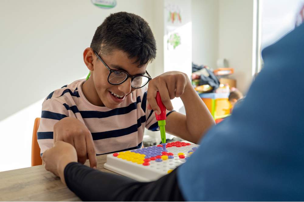Desvendando o Mundo do BPC para Autistas